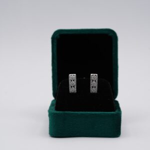 Dazzle Studs Earrings