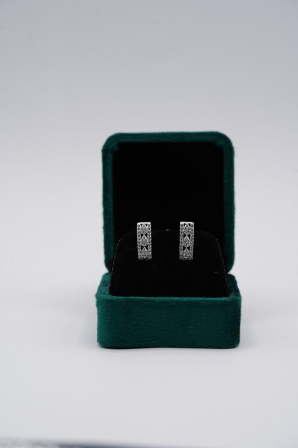 Dazzle Studs Earrings